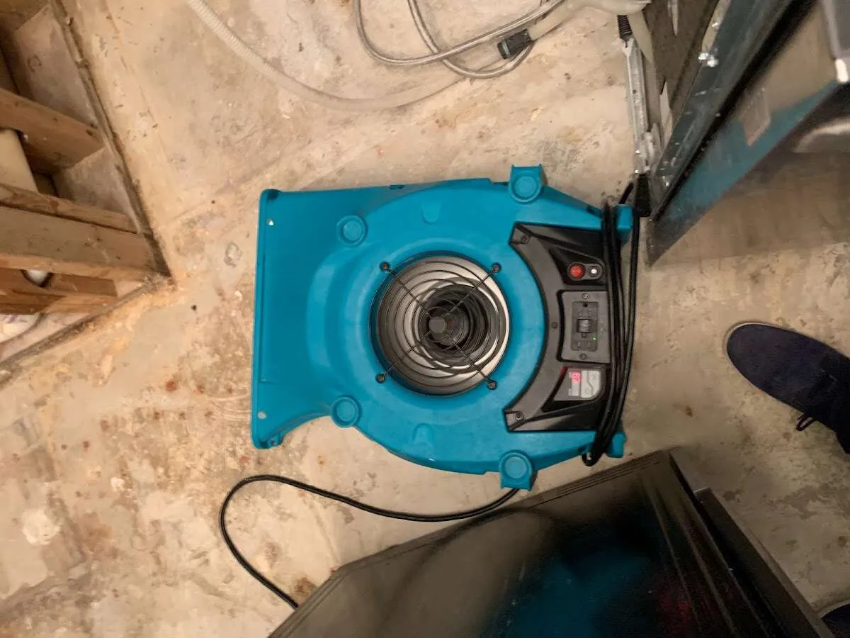 Air mover drying equipment for Mold Remediation & Removal in Urbana